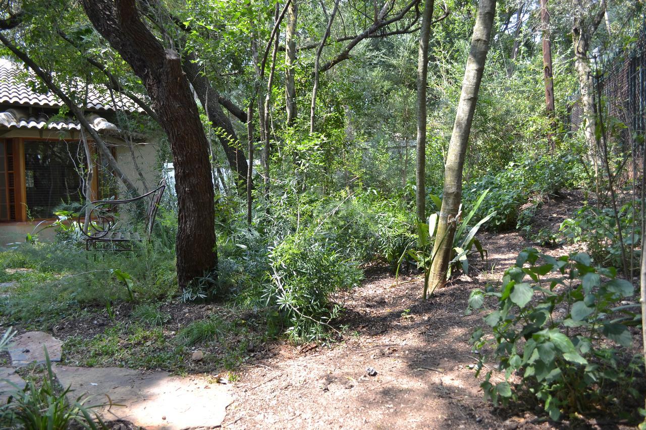 Lydall Wild Tranquil Garden Suites Йоханнесбург Экстерьер фото